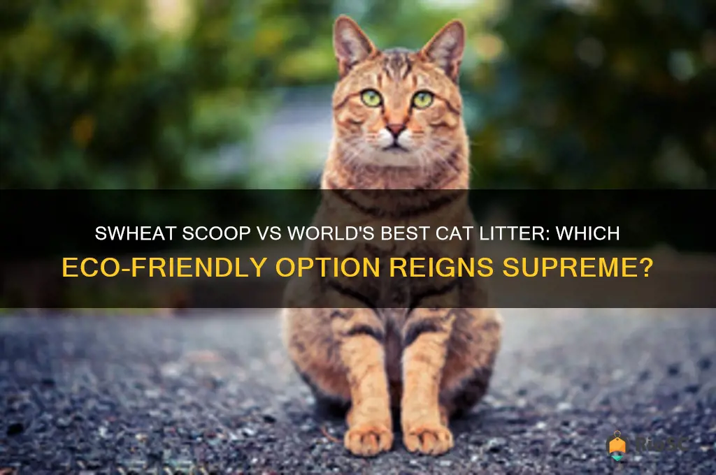 swheat scoop vs world