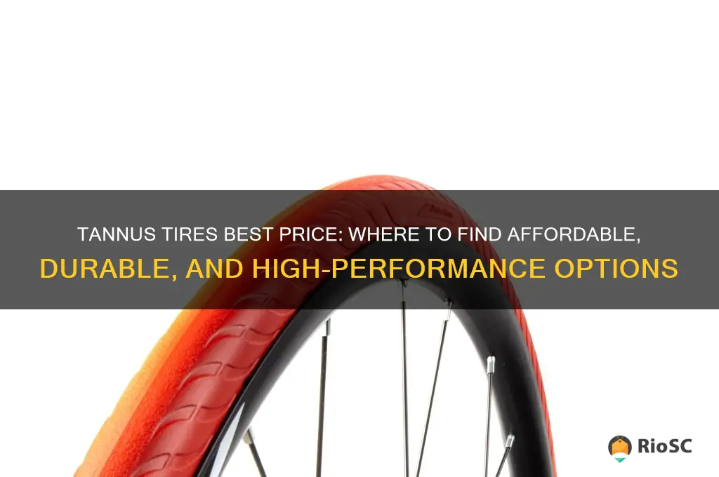 tannus tires best price