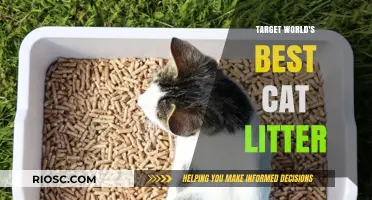 Revolutionize Your Cat Care: Discover the World's Best Cat Litter for a Cleaner, Fresher Home