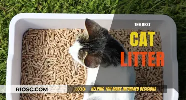 Purr-fect Choices: Top Cat Litter Options for a Clean and Happy Home