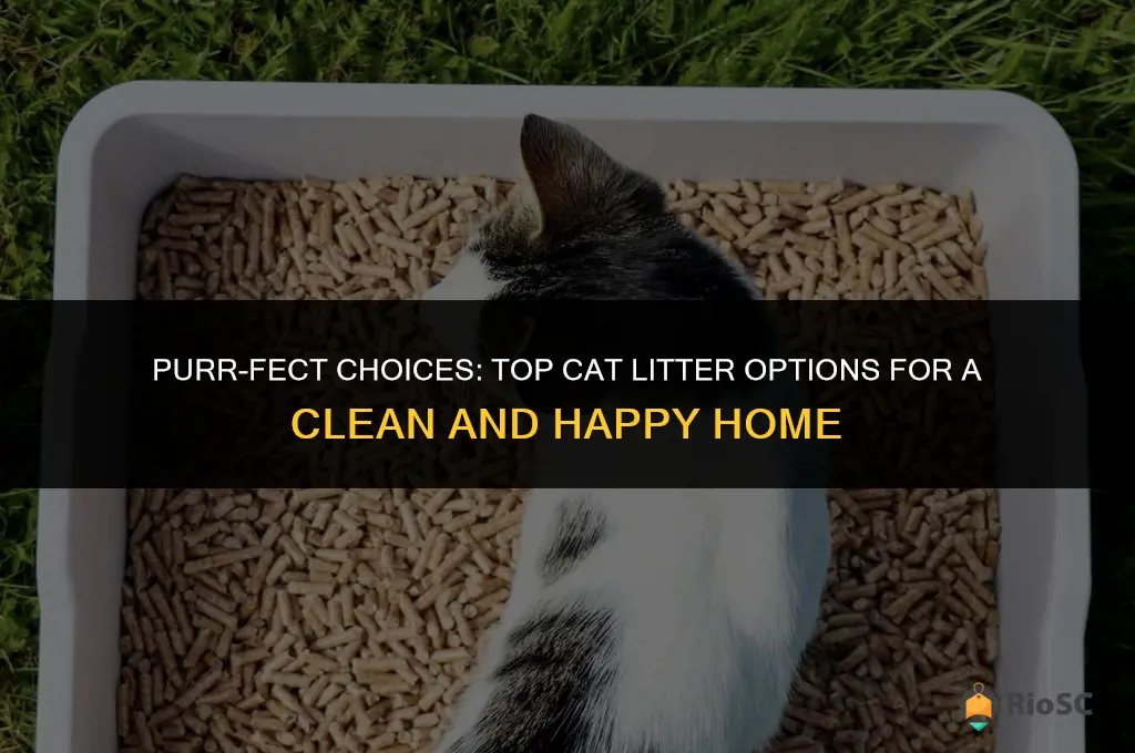 ten best cat litter