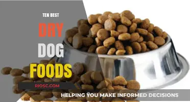 Top-Rated Dry Dog Foods: A Comprehensive Guide to Nutritious Canine Cuisine