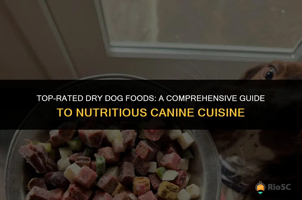 ten best dry dog foods