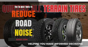 Top Tire Choices for a Quieter Ride: Best Options to Minimize Road Noise