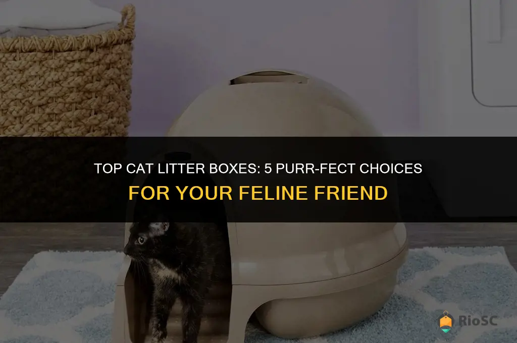 the 5 best cat litter box