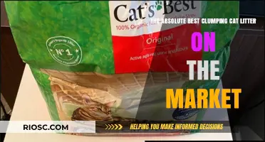Purr-fectly Clean: Discover the Absolute Best Clumping Cat Litter on the Market