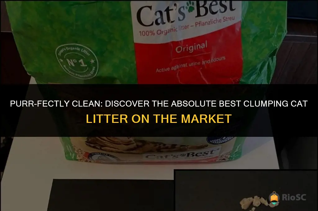 the absolute best clumping cat litter on the market