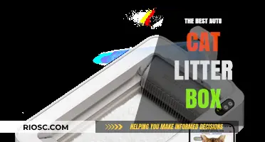 Revolutionize Your Pet Care: Discover the Ultimate Auto Cat Litter Box for Effortless Cleaning and Happy Cats
