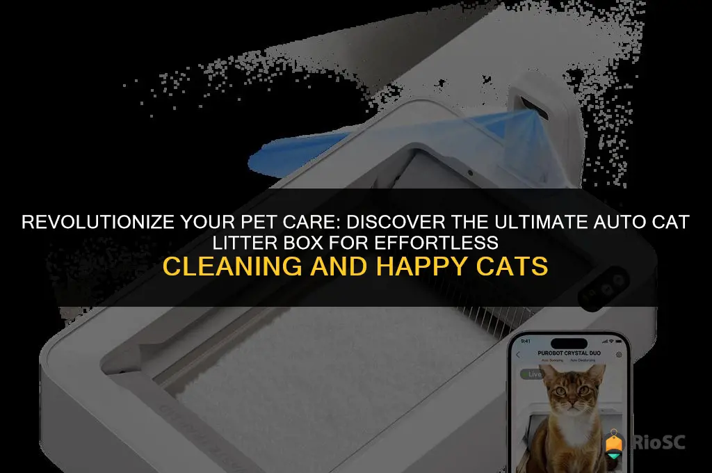 the best auto cat litter box