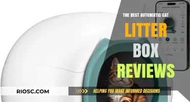 Top-Rated Automatic Cat Litter Boxes: Expert Reviews and Recommendations for Effortless Cleaning