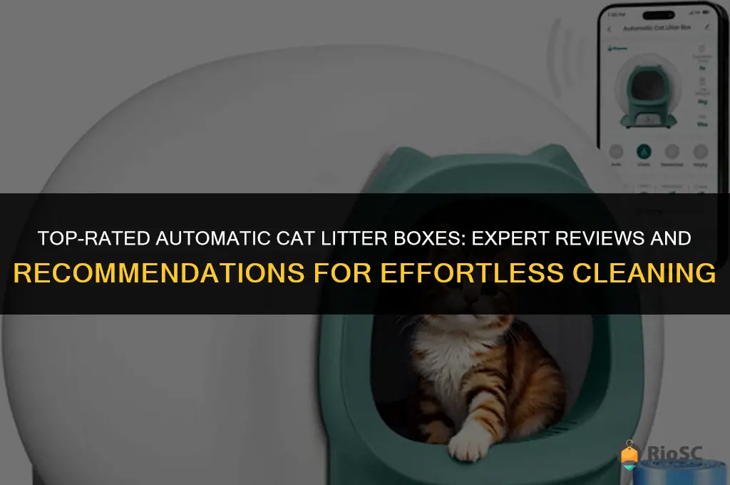 the best automatic cat litter box reviews