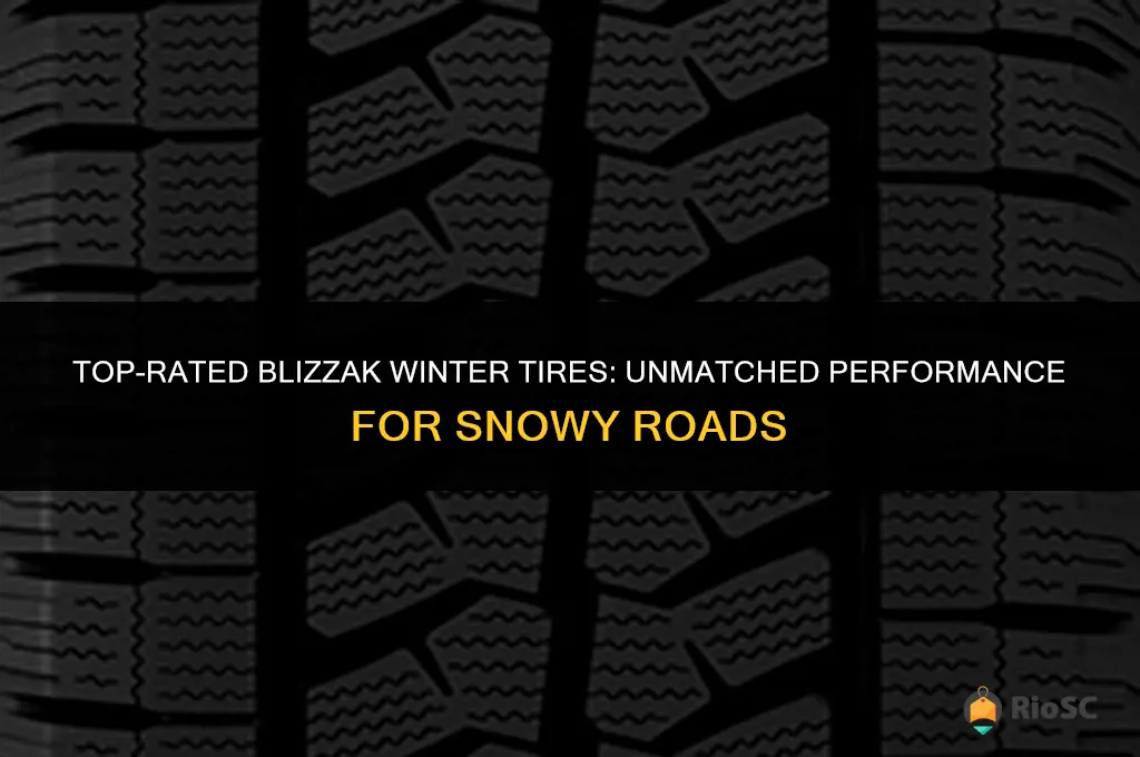 the best blizzak winter tires