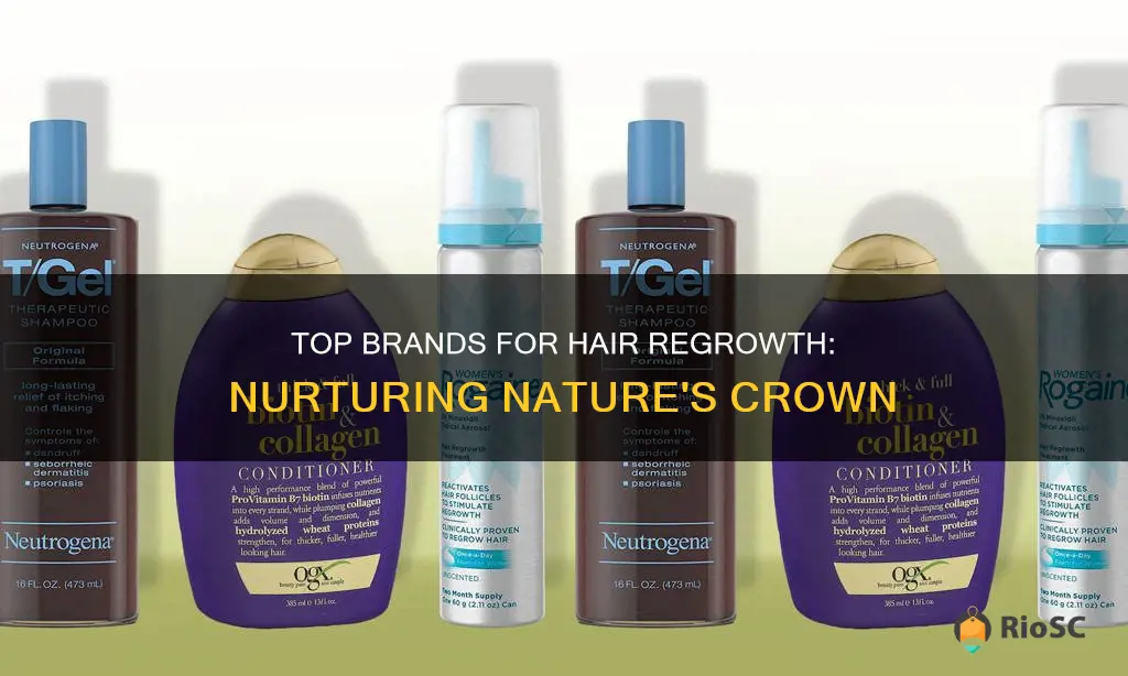 the best brands for hair regrowth