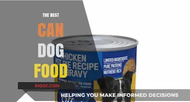 Top-Rated Can Dog Foods: A Comprehensive Guide for Pet Owners