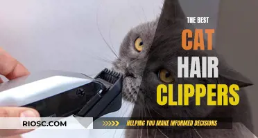 Ultimate Guide to the Best Cat Hair Clippers: Keep Your Feline Friend Looking Sharp