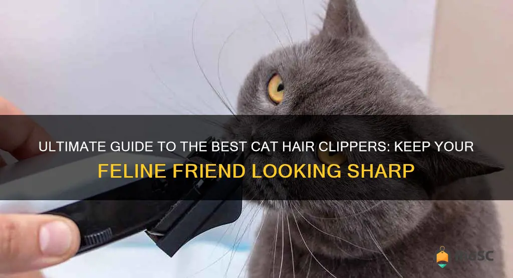 the best cat hair clippers