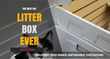 Revolutionary Cat Litter Box: The Ultimate Solution for Odor Control, Easy Cleaning, and Happy Cats