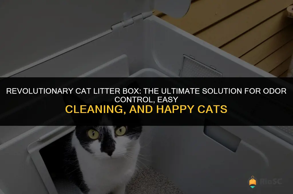 the best cat litter box ever