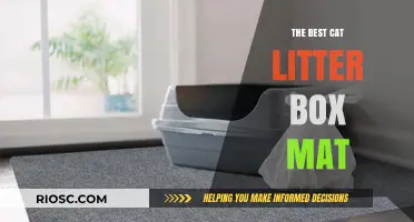 Purr-fectly Clean Floors: Discover the Best Cat Litter Box Mat for Your Home