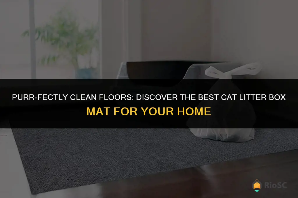the best cat litter box mat