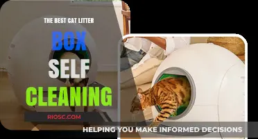 Revolutionize Your Cat Care: Discover the Best Self-Cleaning Litter Box for Effortless Maintenance
