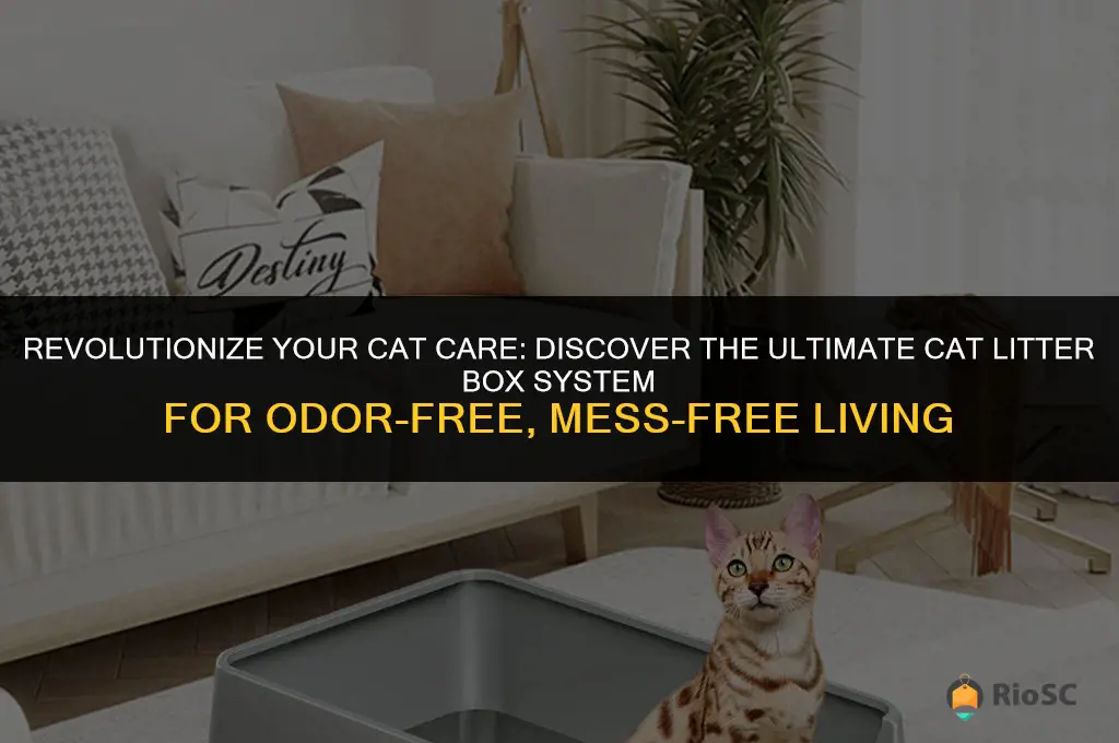 the best cat litter box system