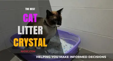 Crystal Clear Choice: The Ultimate Guide to the Best Cat Litter Crystal for Odor Control and Convenience