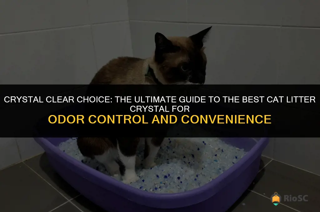 the best cat litter crystal