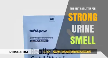 Eliminate Strong Urine Smells: The Ultimate Guide to the Best Cat Litter for Odor Control