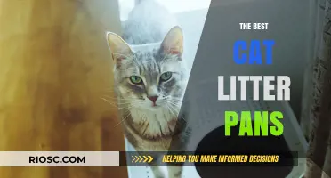 Top-Rated Cat Litter Pans: Finding the Perfect Fit for Your Feline Friend