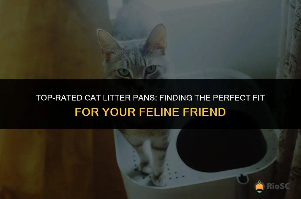 the best cat litter pans