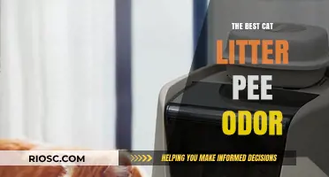 Eliminate Cat Litter Pee Odor: Top Solutions for a Fresh-Smelling Home