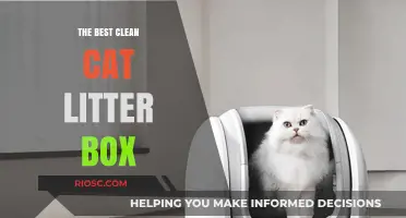 Top Picks for the Best Clean Cat Litter Box: Keep Your Home Fresh and Your Cat Happy