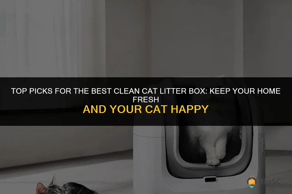 Top Picks For The Best Clean Cat Litter Box: Keep Your Home Fresh And ...