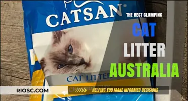 Top-Rated Clumping Cat Litter Options in Australia: A Comprehensive Guide