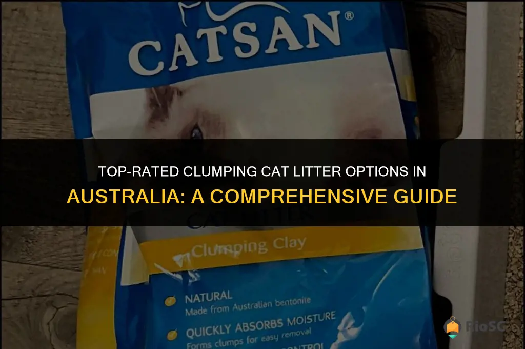 the best clumping cat litter australia