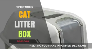 Top-Rated Covered Cat Litter Boxes: Stylish, Odor-Free, and Pet-Approved Solutions for a Cleaner Home