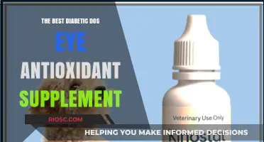 Top Eye Antioxidant Supplements for Diabetic Dogs: Protecting Vision and Promoting Eye Health