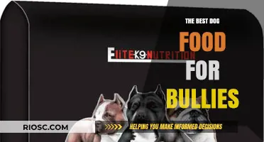Nutritious and Delicious: Top Dog Food Picks for Healthy and Happy Bullies