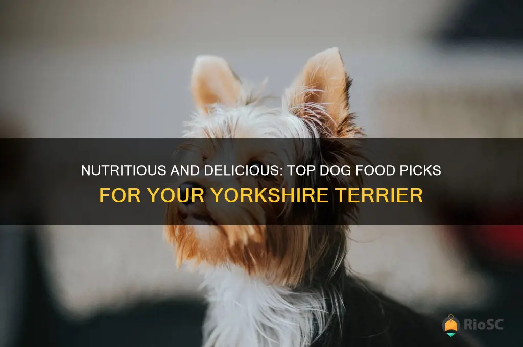 the best dog food for yorkies