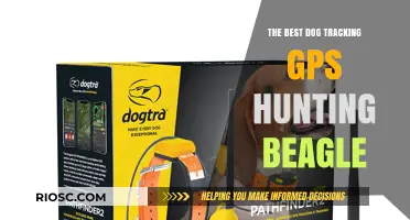 Top Dog Tracking GPS Devices for Hunting Beagles: Enhance Your Hunt with Precision and Reliability