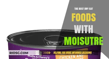 Top Picks for Hydrating Dry Cat Foods: A Comprehensive Guide