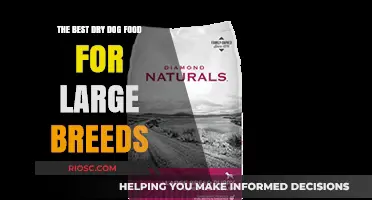 Top Picks for Large Breeds: The Best Dry Dog Food to Keep Your Big Buddy Healthy and Happy