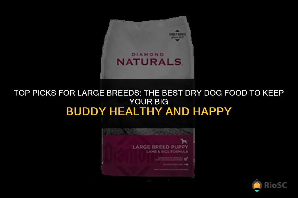 the best dry dog food for large breeds
