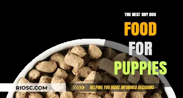 Nourishing Growth: Top Dry Dog Food Picks for Your Playful Puppy