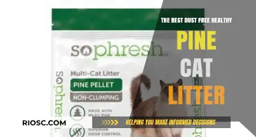 Breathe Easy: Discover the Best Dust-Free Healthy Pine Cat Litter for Your Feline Friend