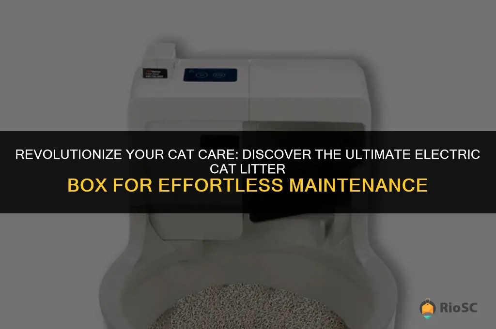 the best electric cat litter box