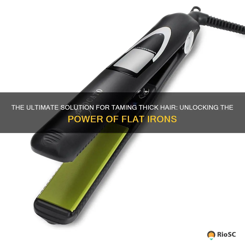 the best flat iron for tick hair