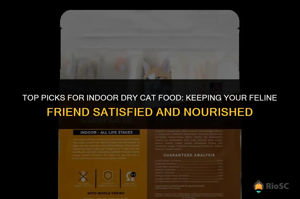 the best indoor dry cat food to keep cat full