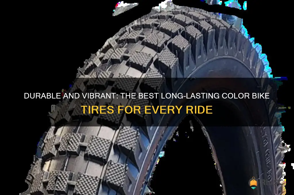 the best long lasting color bike tires